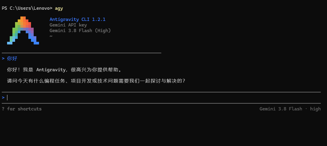 Antigravity CLI 启动测试