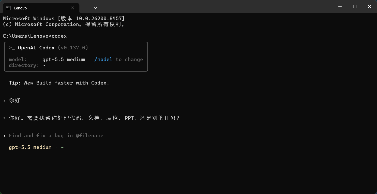 Codex 启动测试