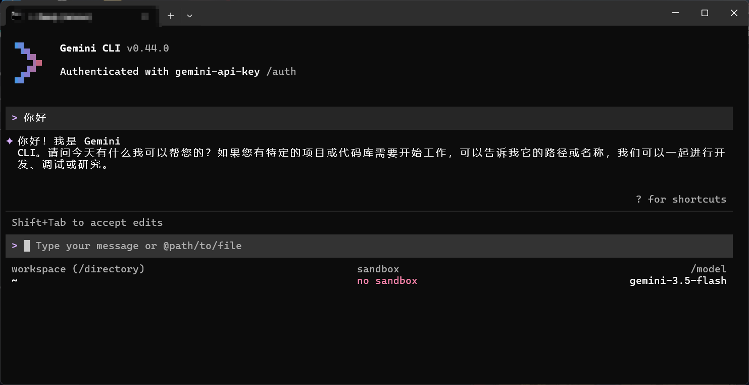 Gemini CLI 测试成功