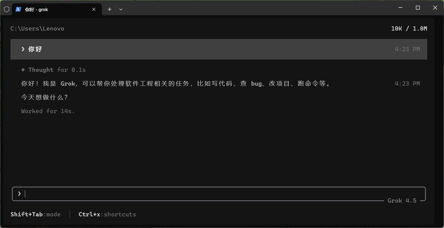 Grok Build 启动测试