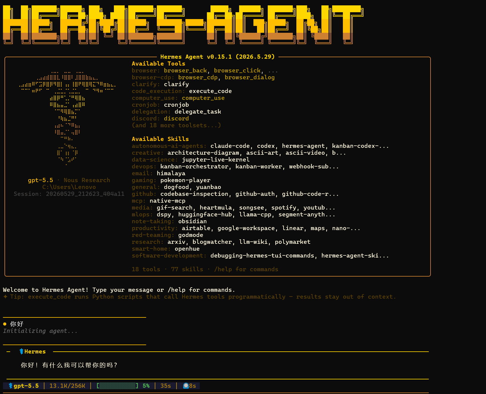 Hermes Codex 验证截图