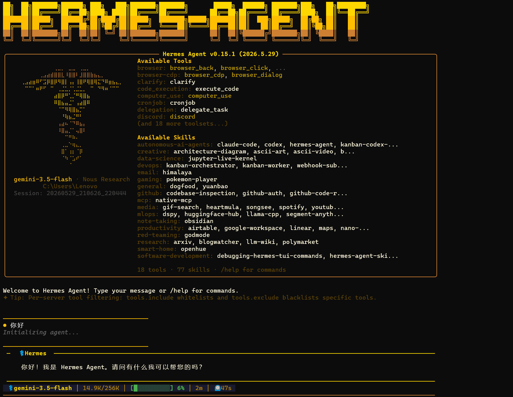 Hermes Gemini 验证截 图