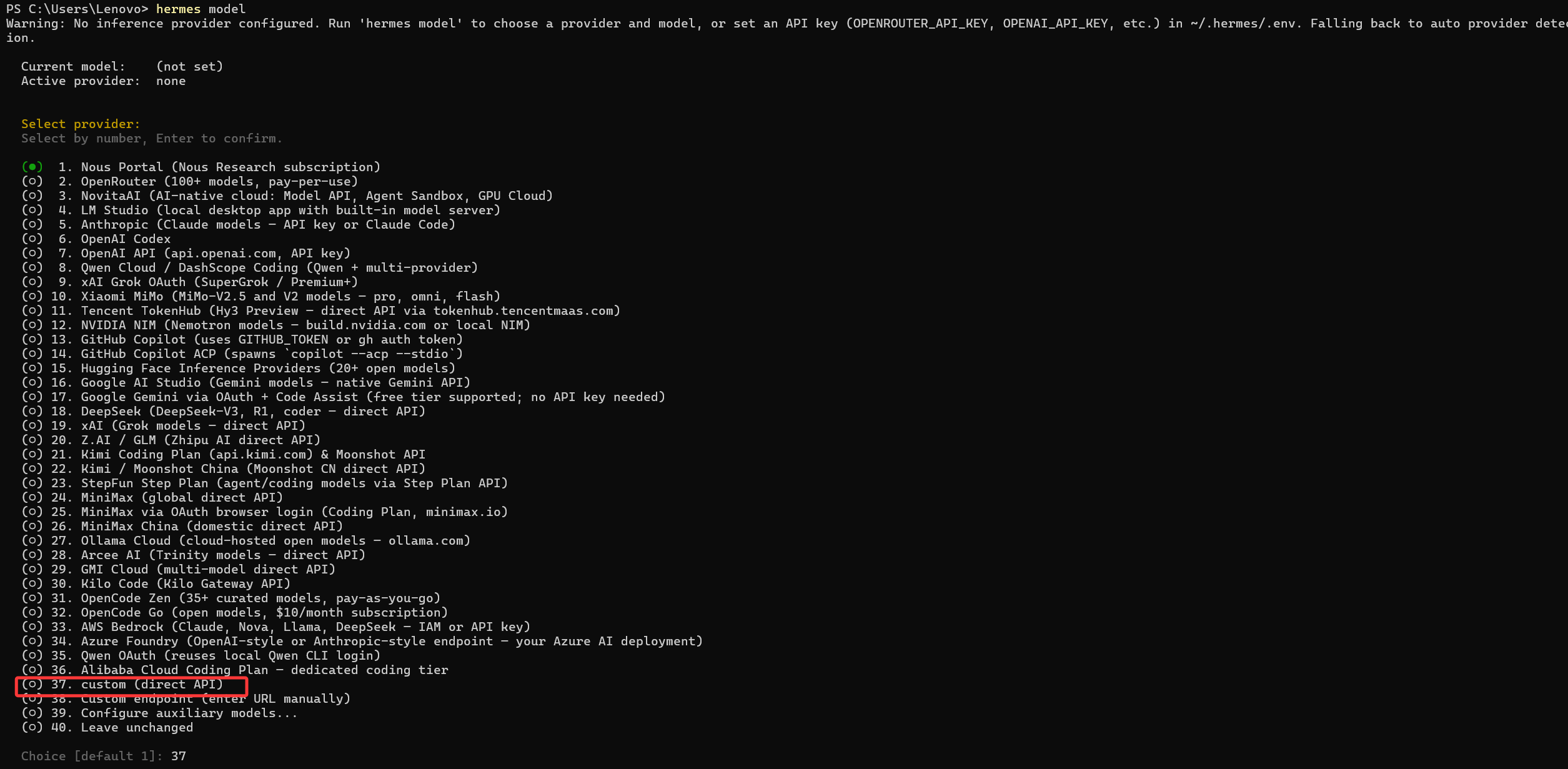 Hermes 选择 custom direct API
