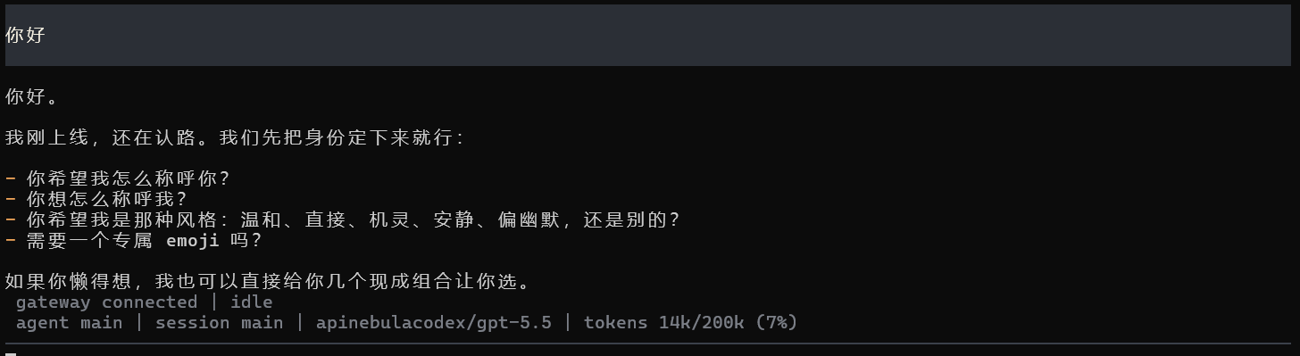 OpenClaw Codex 验证截图