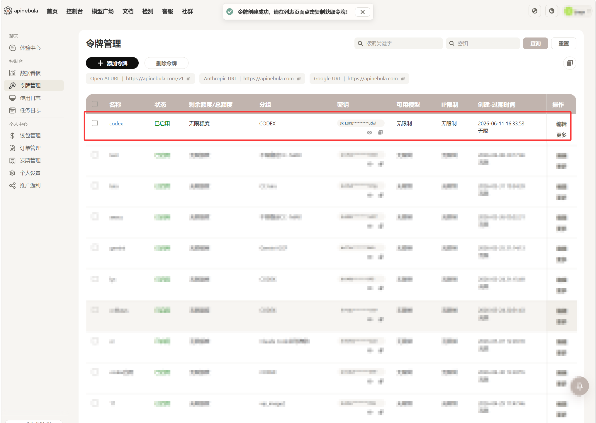 复制创建好的 API Key